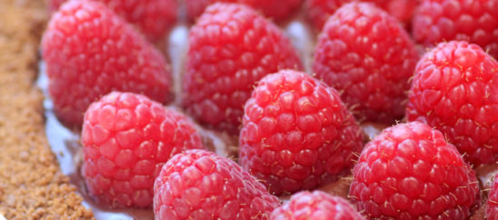 Chocolate-Raspberry Tart with a Gingersnap Crust