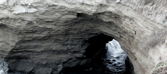 4th of July Line Up!!!